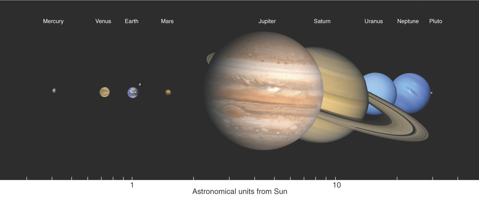 Densities Of Terrestrial Planets In Our Solar