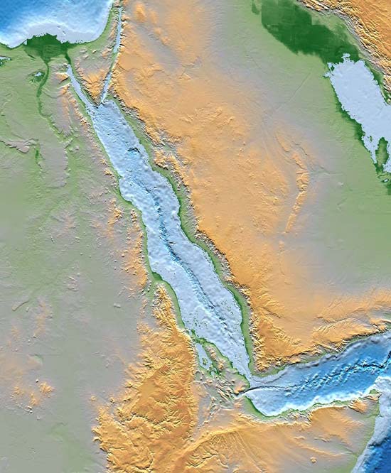 The Red sea rift