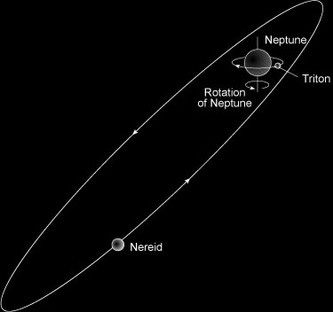 The orbital paths of Triton and Nereid